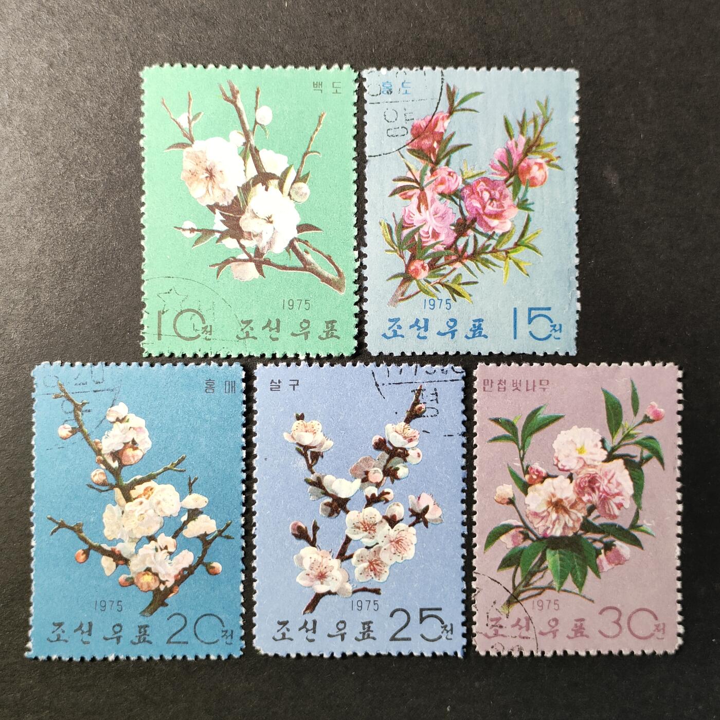 ↓君缘收藏625期☞钱币邮品↓无佣金、可寄存、满30元包邮  朝鲜邮票，1975年花卉(白桃,红桃,郁李,山桃,日本晚樱)邮票5全