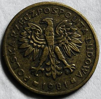 神仙姐姐-中外币专场22 1981 年波兰 2 兹罗提铜币