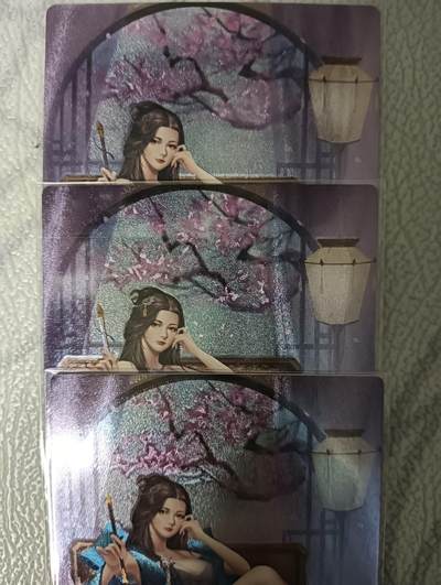 花开卡拍第43期（10月19号周日截拍，品控勿拍!!!拍品不寄存，运费5元，自制卡难免瑕疵，可能存在轻微撞角爆边等出厂瑕疵，品控介意勿拍！） - 玩卡秀 三国百姬传 辛宪英 1套3张 第3张是艺术卡 粗闪