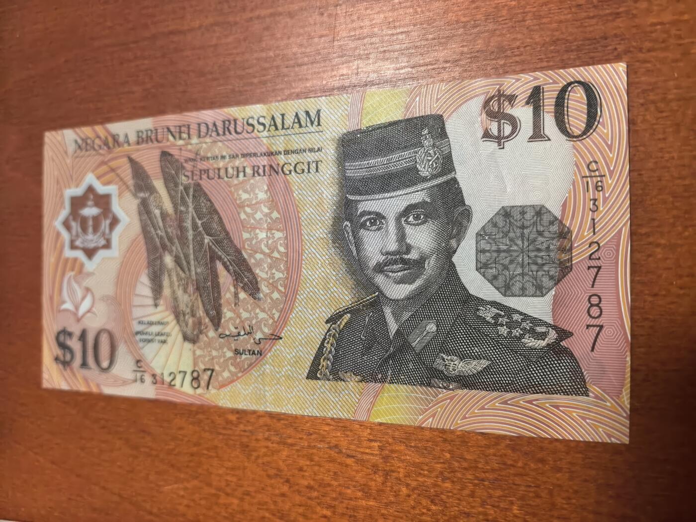 长老汇蛇年精选第六十二场拍卖 文莱10元+越南2万盾塑料钞，非全新，汇率约等于60元人民币