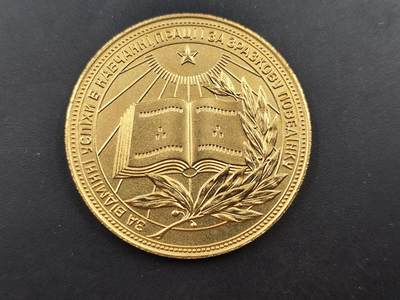 10月15日精品徽章专场 - 前苏联乌克兰金级学霸纪念章 铜制镀金