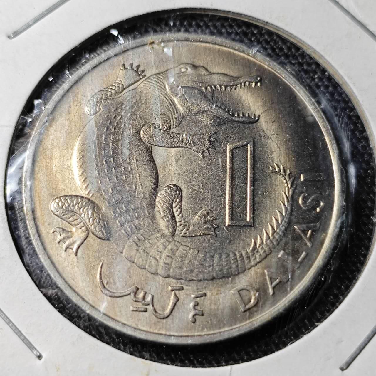KK钱币收藏小铺  （套币 批量/好品散币 银币）专场  2月预留时间 周末发货  1971冈比亚1达拉西 鳄鱼 独年!