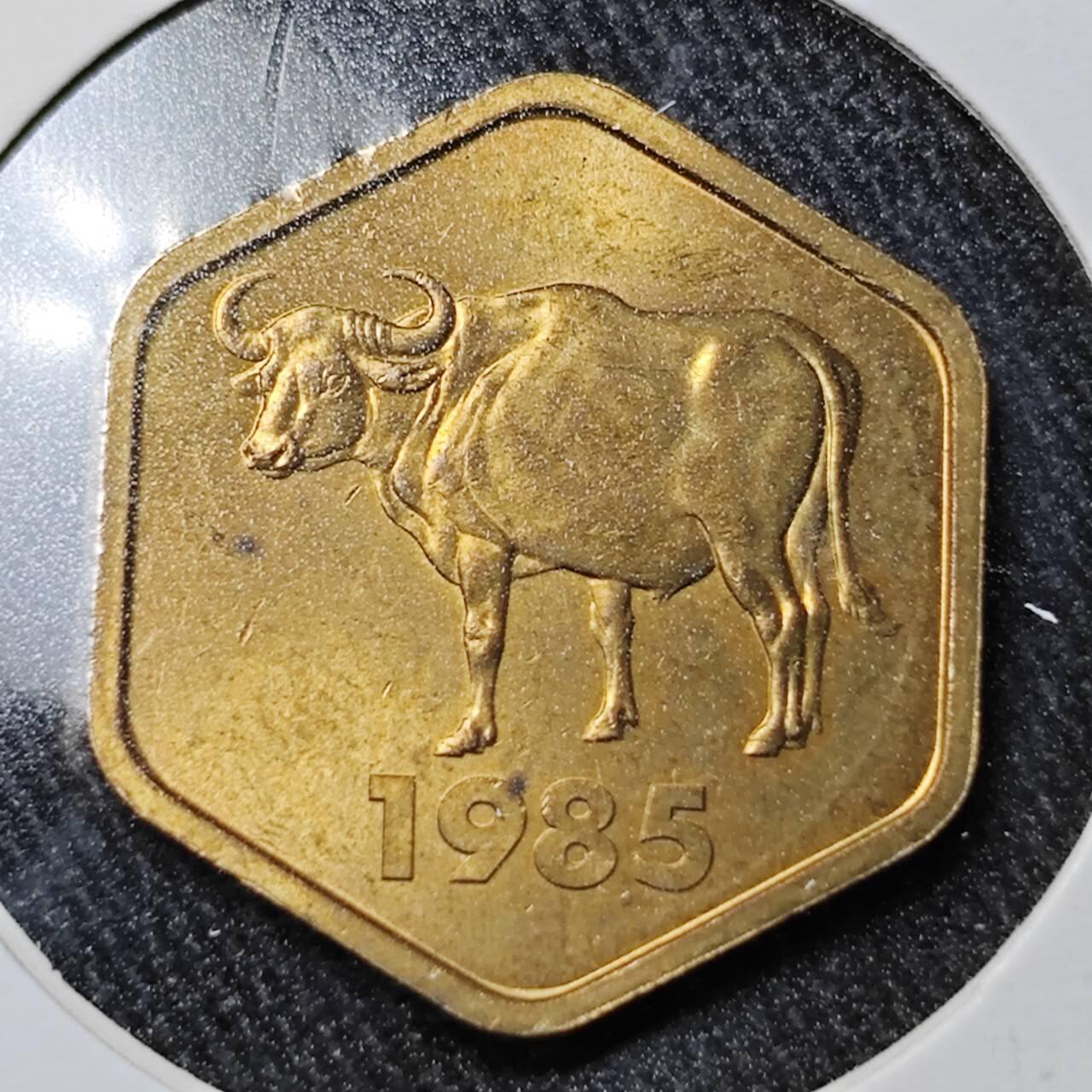 KK钱币收藏小铺  （套币 批量/好品散币 银币）专场  2月预留时间 周末发货   1985日本造币厂生肖牛 铭牌铜章