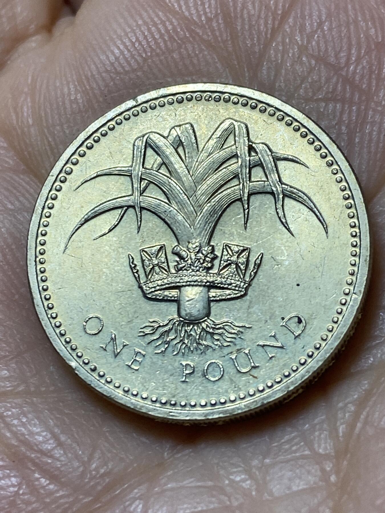 2025年第一百一十二场(总第一百三十八场）外国好品散币(免佣金) 英国🇬🇧1990年1镑(伊丽莎白二世中年高冠，威尔士韭葱，关门年仅发行2年)
