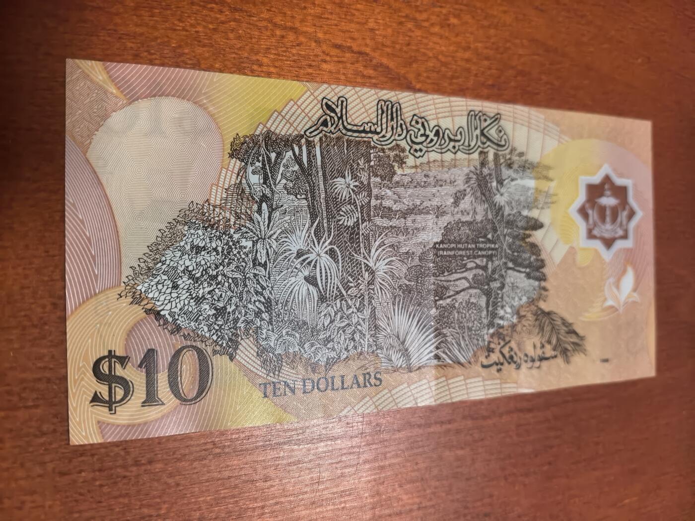 长老汇蛇年精选第六十二场拍卖 文莱10元+越南2万盾塑料钞，非全新，汇率约等于60元人民币