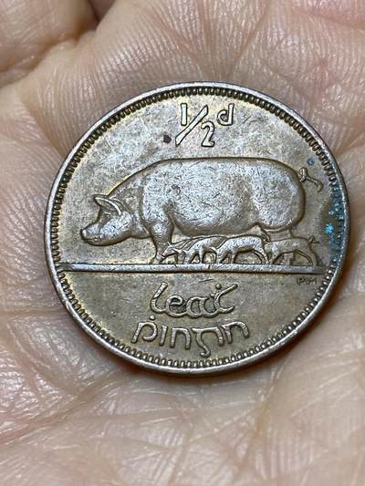 2025年第一百一十二场(总第一百三十八场）外国好品散币(免佣金) - 爱尔兰🇮🇪1966年1/2便士(共和国时期第一套)