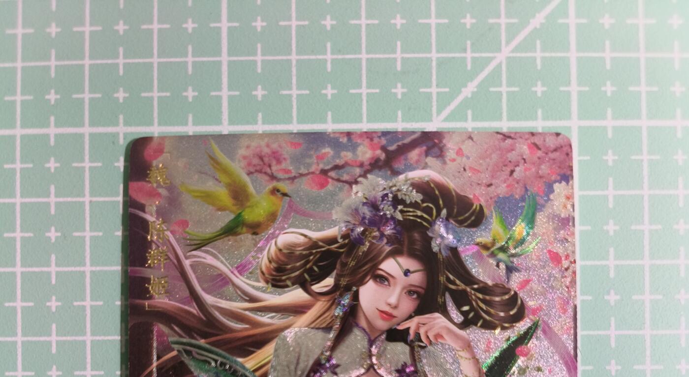 C先生卡牌 第14期 《神州百花谱》《Art系列》《人间传》持续收拍品中... 【粗闪】卡玩帕克《魂姬三国》陈群姬