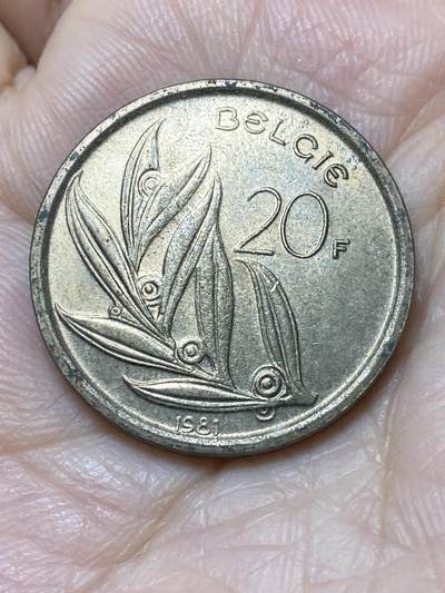 2025年第一百一十二场(总第一百三十八场）外国好品散币(免佣金) - 比利时🇧🇪1981年20法郎(博杜安一世时期，荷语版)