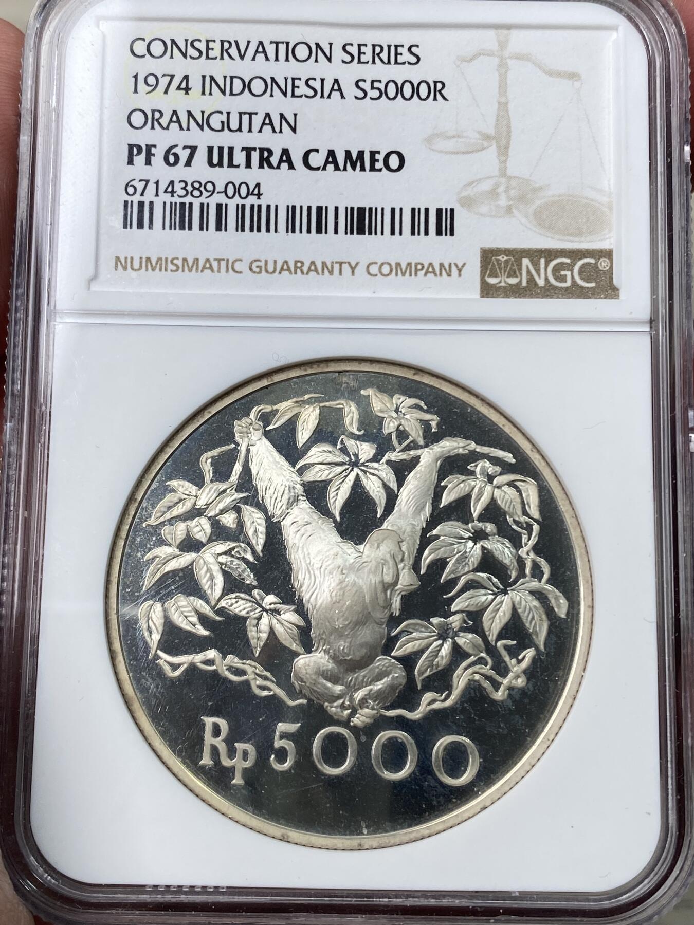 万国钱币拍卖第053期【万国秋季大拍上●周五周六两场连拍】 NGC PF67UC 1974印度尼西亚自然保护区系列红毛大猩猩5000R 英国皇家造币厂出品 精制深度镜面