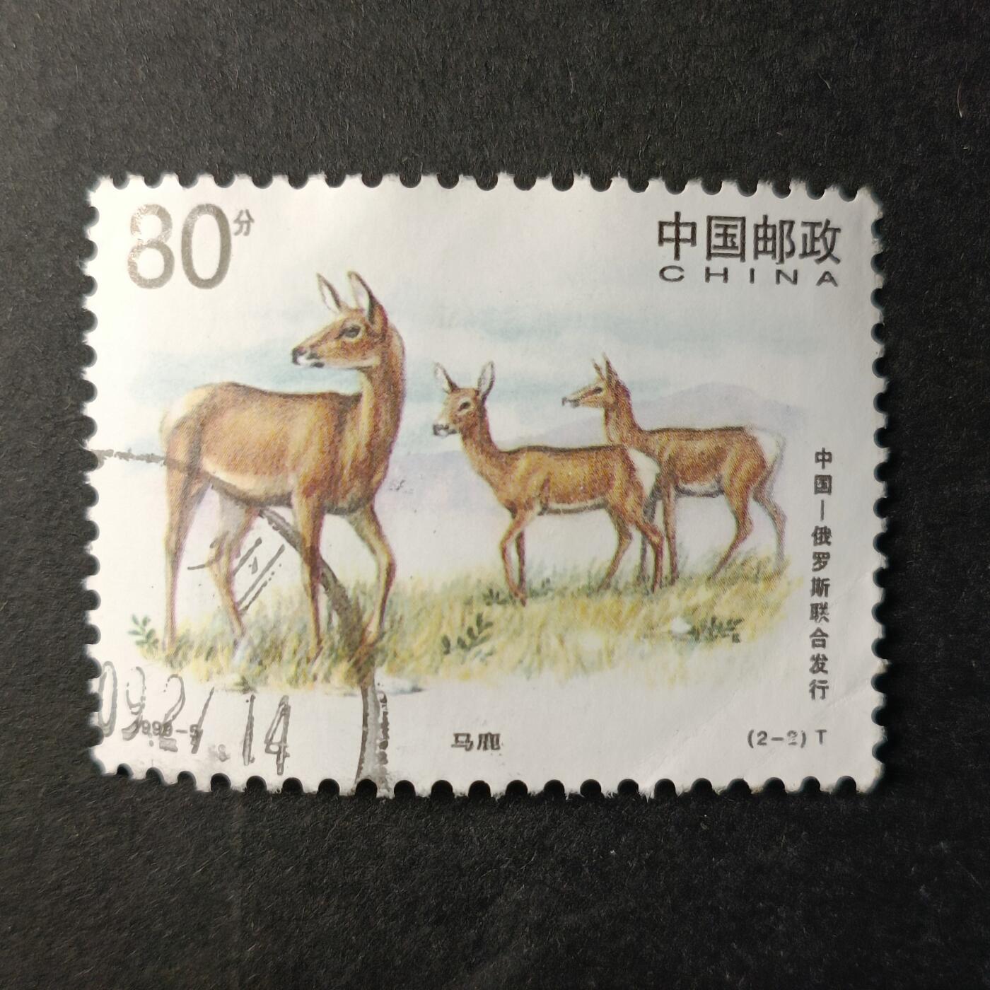 嘉禾收藏    【第353期】            无佣金、可寄存、满30元包邮 国邮🇨🇳