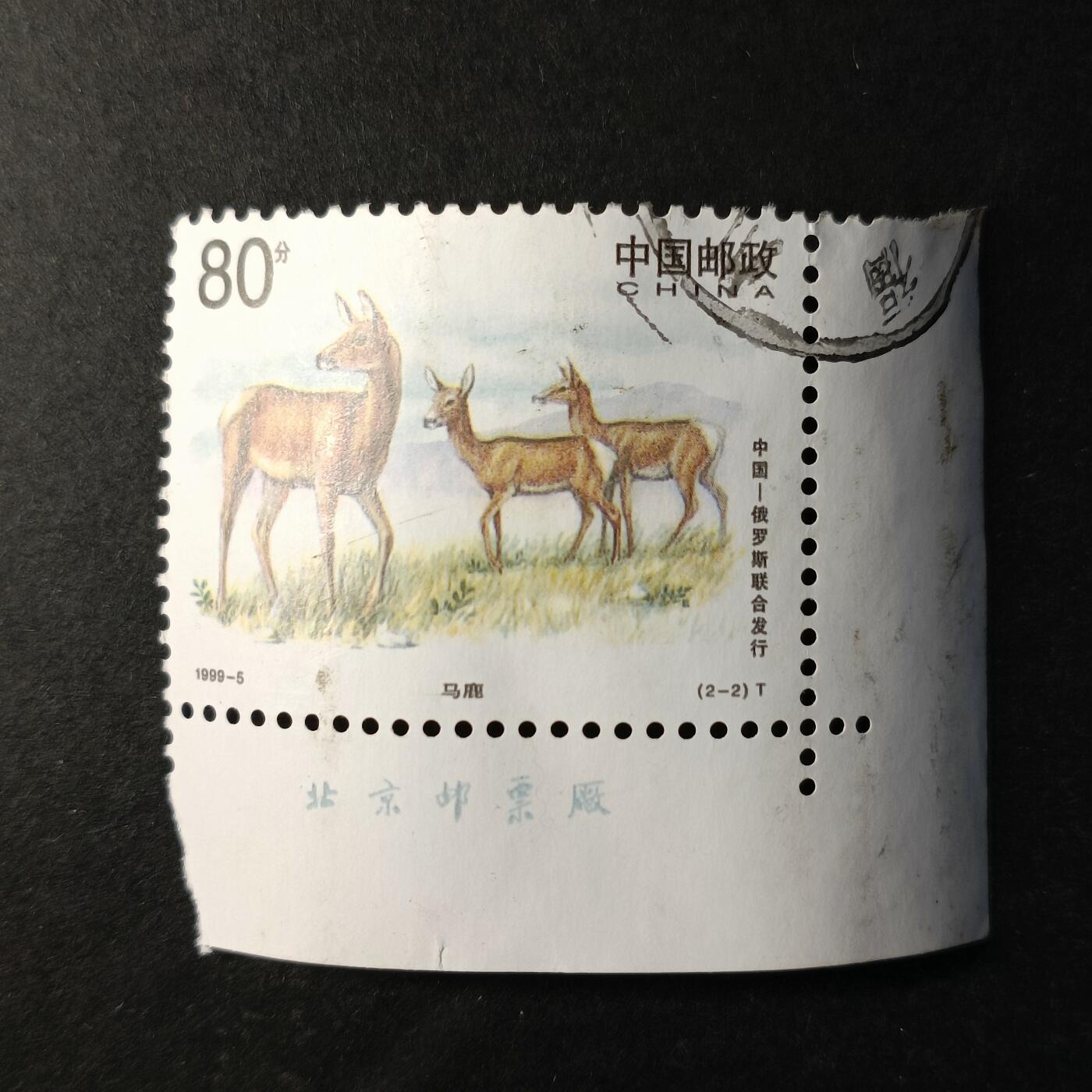 嘉禾收藏    【第353期】            无佣金、可寄存、满30元包邮 国邮🇨🇳
