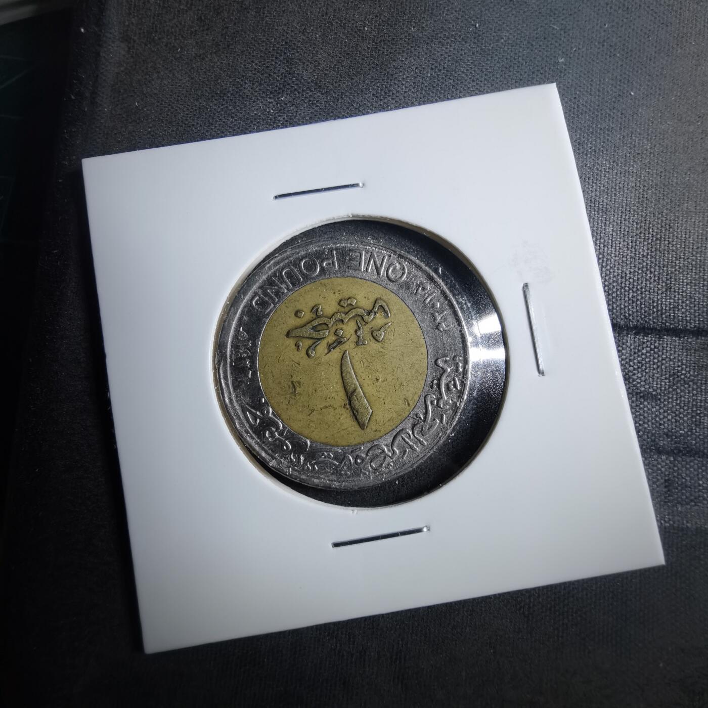 沼泽如烟--第879场 埃及纪念币