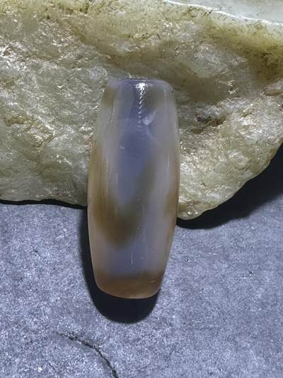 仅此一颗，藏传虎牙随形天珠一颗 - 仅此一颗，藏传虎牙随形天珠一颗