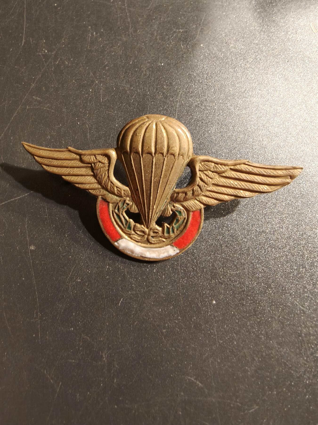 老王徽章第157期 秘鲁空降兵自由落体伞降技能章