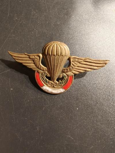 老王徽章第157期 - 秘鲁空降兵自由落体伞降技能章