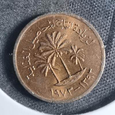 沼泽如烟--第879场 - 阿联酋