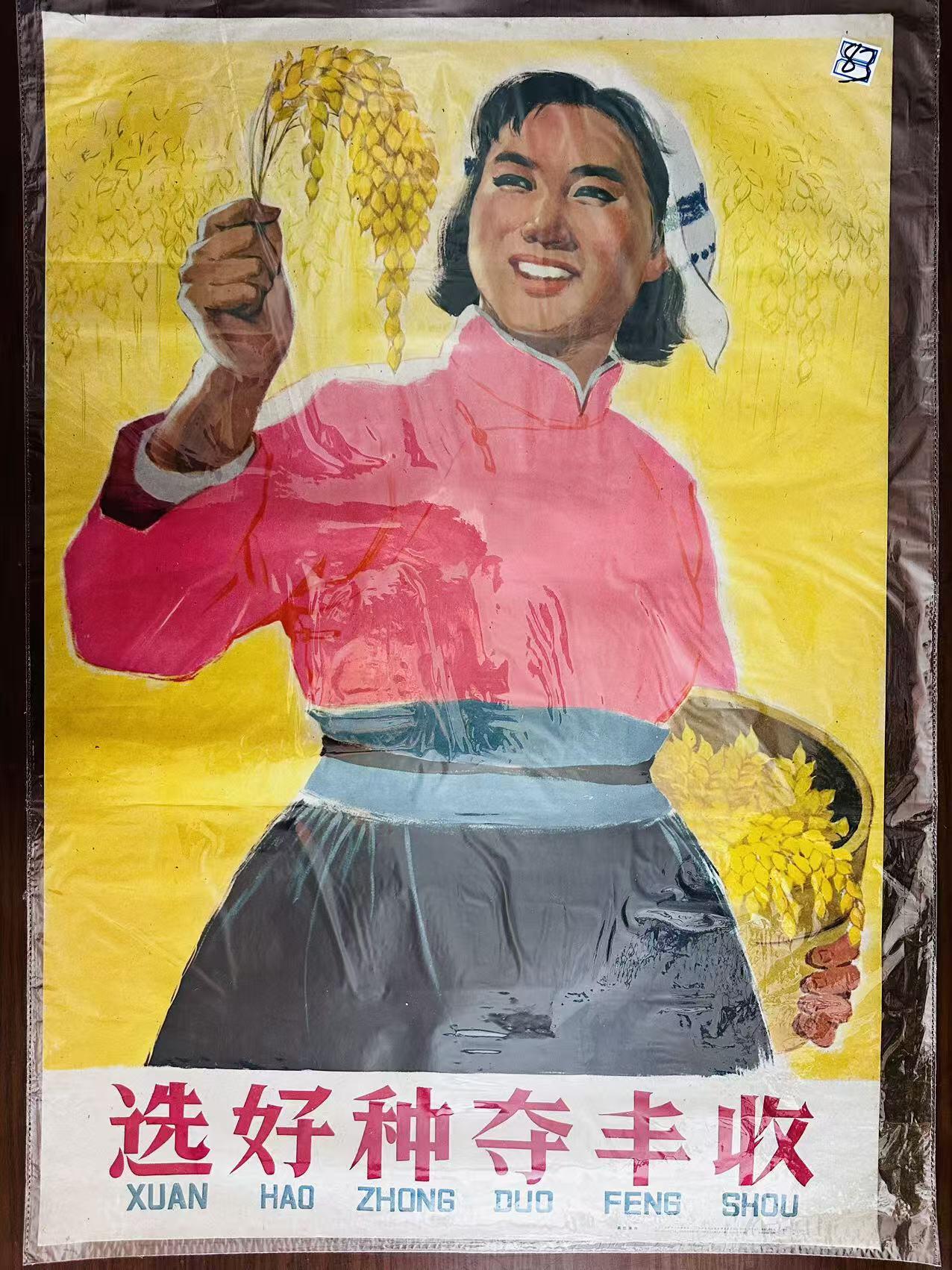 大连首届红藏暨第十一届全国连交会 红藏拍卖 选好种夺丰收 出版社：上海人美 开本：2 品相：9.8 年代：59.12 吴性清