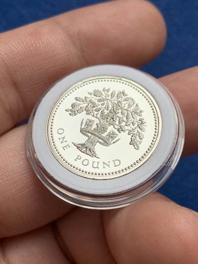 《竞宝斋》第429场 周日，周一，周二 3场连拍 （全场包邮） 英国1987年精制一磅银币 发行量5万枚 925银 9.5克