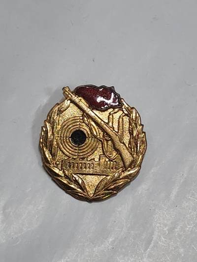 韵星假日拍卖第二十八期 -- Rimey Holidays Auction 28 - 民主德国金级工战队射击技能证章