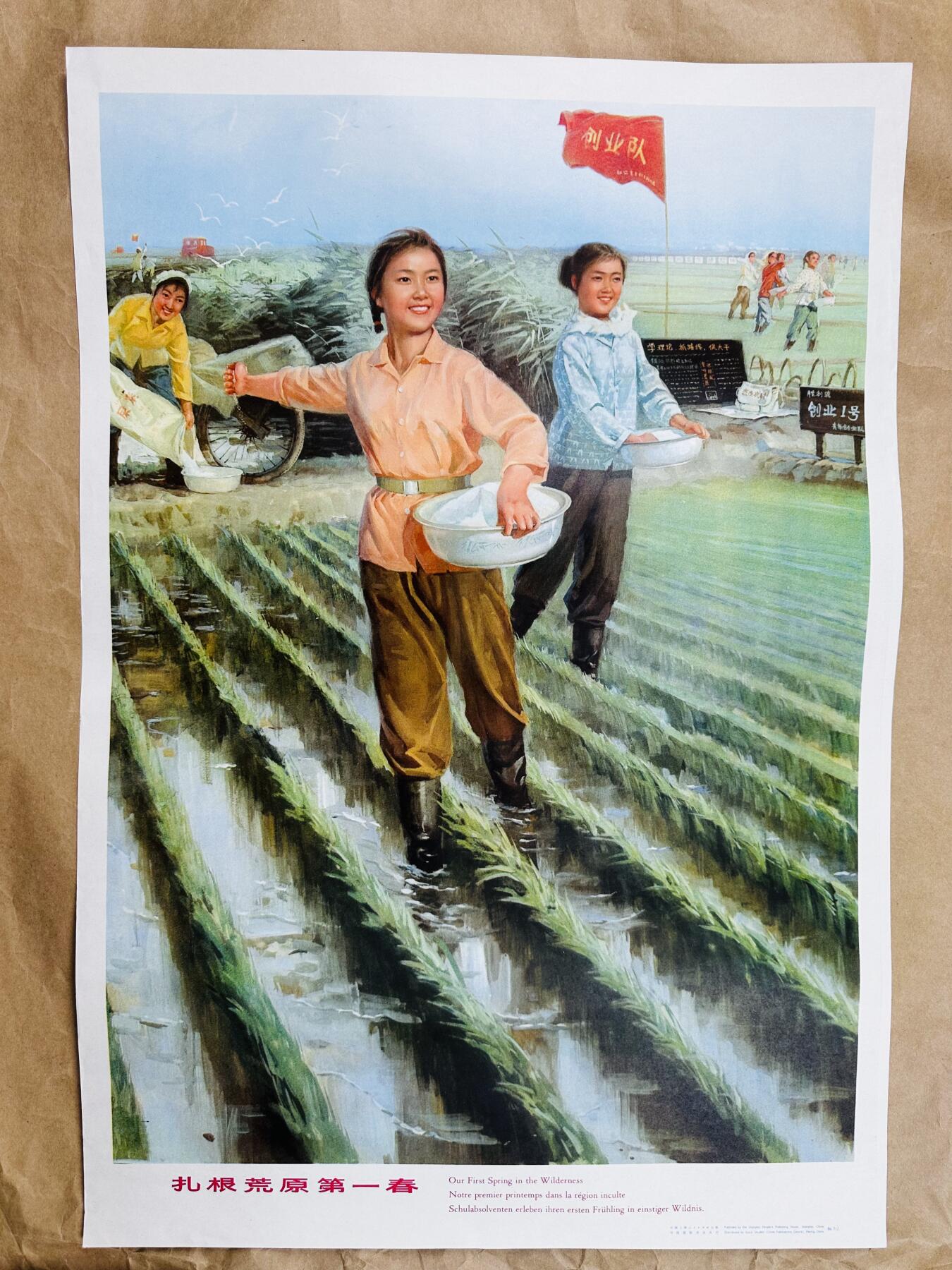 大连首届红藏暨第十一届全国连交会 红藏拍卖 扎根荒原第一春 出版社：上海人民 开本：2 品相：9.9 年代：86