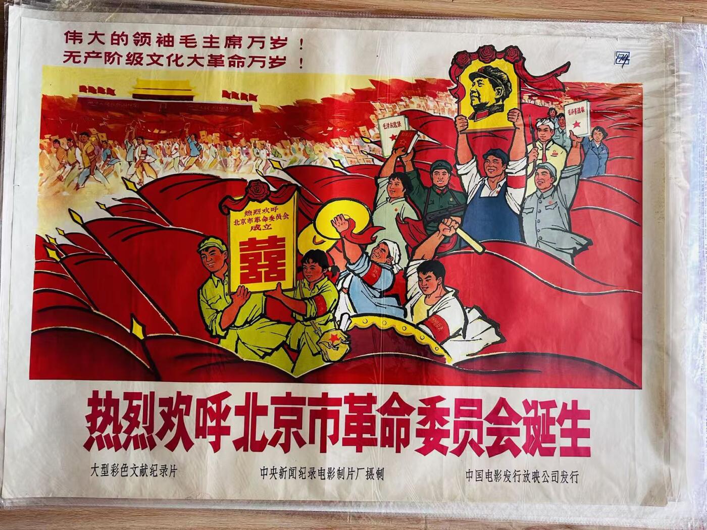 大连首届红藏暨第十一届全国连交会 红藏拍卖