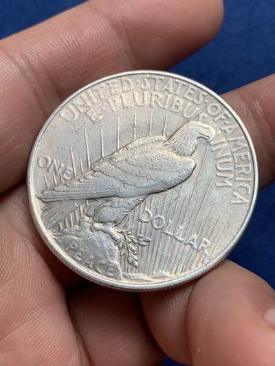 《竞宝斋》第429场 周日，周一，周二 3场连拍 （全场包邮） 美国1922年和平1美元银币