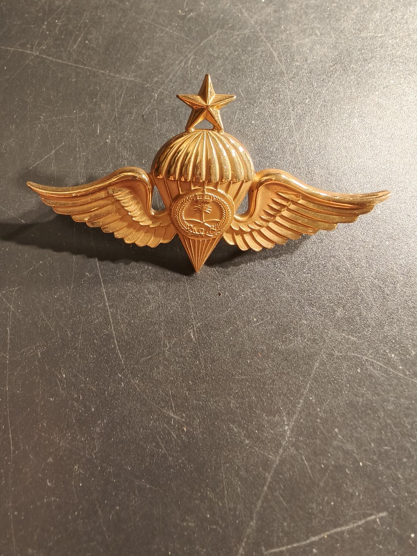 老王徽章第157期 沙特阿拉伯空降兵证章     1星勋饰