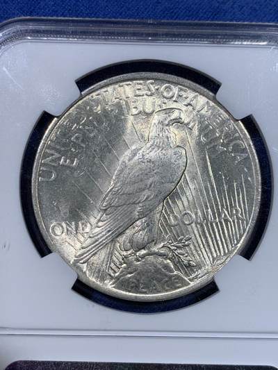 《竞宝斋》第429场 周日，周一，周二 3场连拍 （全场包邮） NGC MS63 美国1923年和平银元，转光强烈细节优秀，状态极佳。