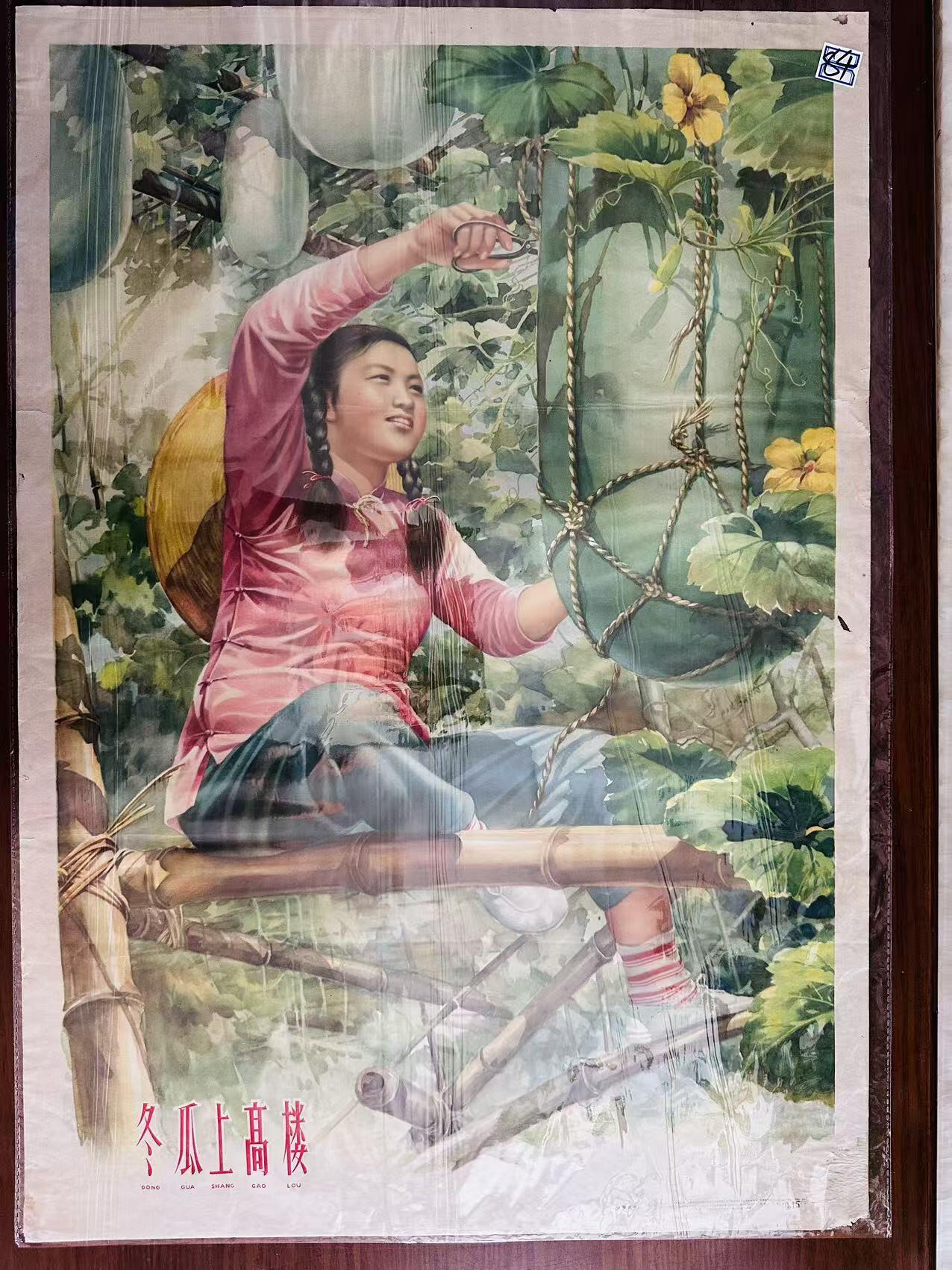 大连首届红藏暨第十一届全国连交会 红藏拍卖 冬瓜上高楼 出版社：上海人美 开本：2 品相：9 年代：63.8二十印 金梅生