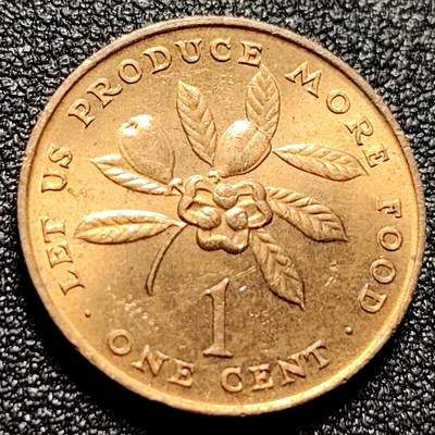 泉币菌-第111场-精品福利场 - 原光UNC 西非荔枝果 牙买加1971年1分青铜硬币 21.2mm 4.2g FAO粮农