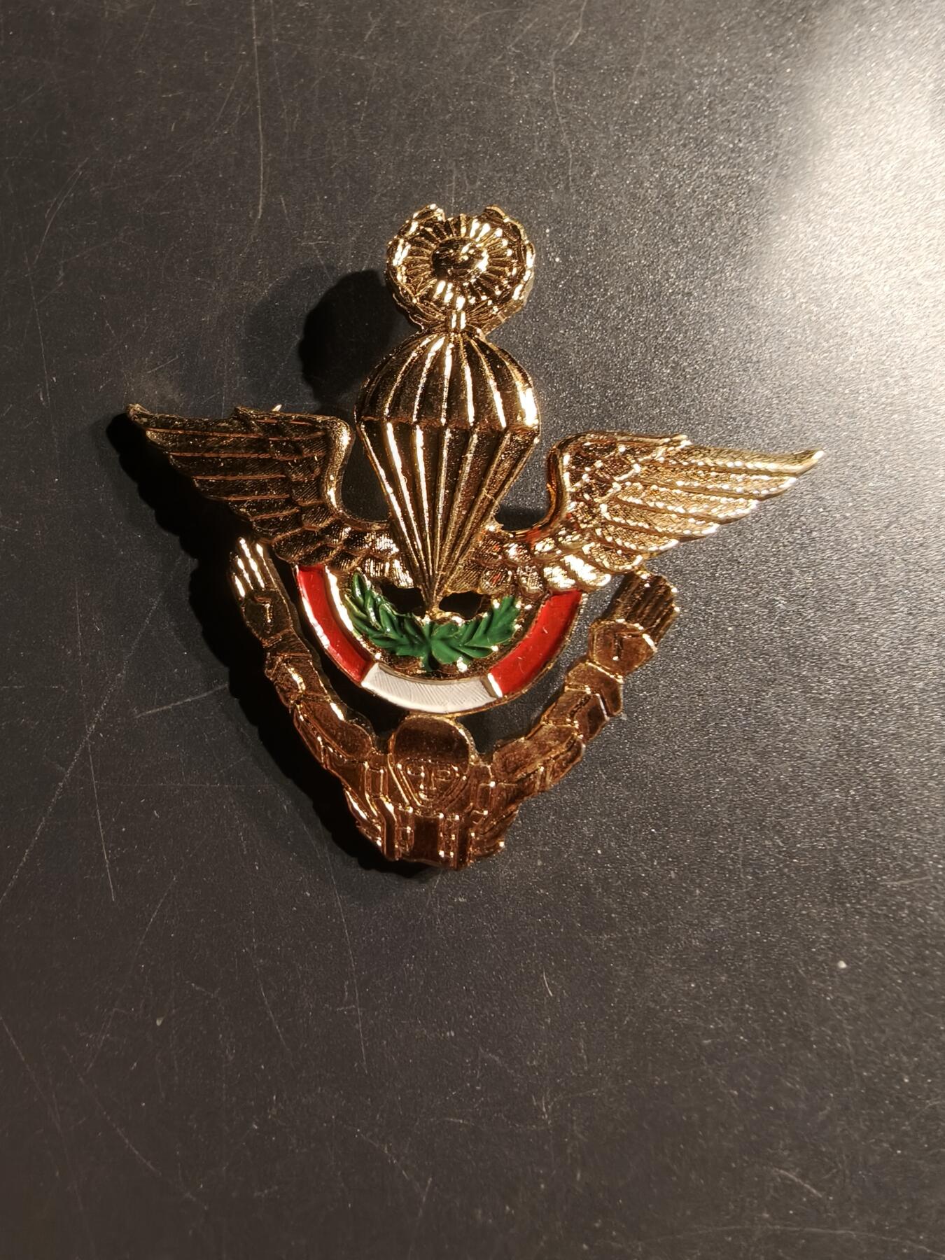 老王徽章第157期 秘鲁自由落体空降兵高级技能章