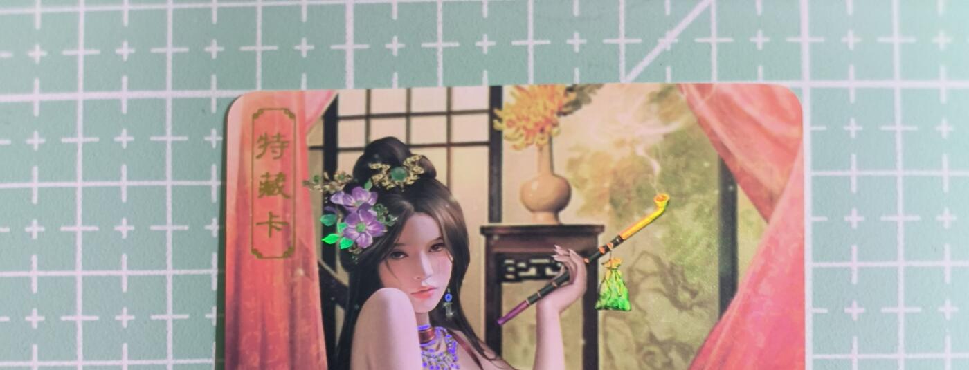 C先生卡牌 第14期 《神州百花谱》《Art系列》《人间传》持续收拍品中... 【彩闪】卡将文创《绝代芳华》贾南风 艺术卡