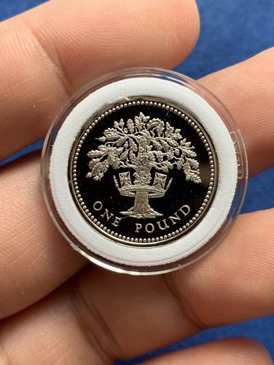 《竞宝斋》第429场 周日，周一，周二 3场连拍 （全场包邮） 英国1987年精制一磅银币 发行量5万枚 925银 9.5克