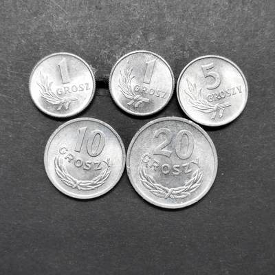 各国硬币第5期 无佣金 - 波兰 不同5个