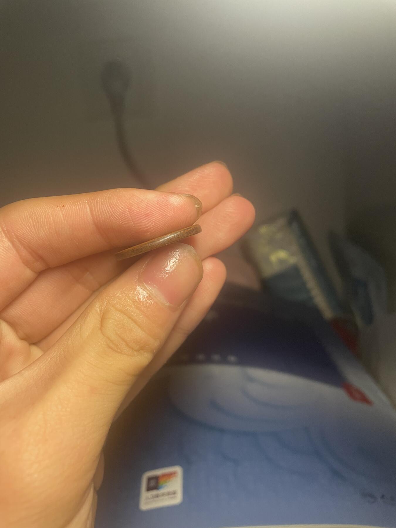 乾隆通宝叶儿奇木 新疆红钱