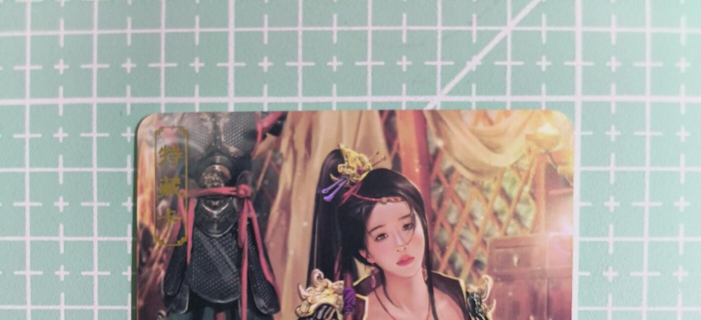 C先生卡牌 第14期 《神州百花谱》《Art系列》《人间传》持续收拍品中... 【彩闪】卡将文创《绝代芳华》穆桂英 艺术卡