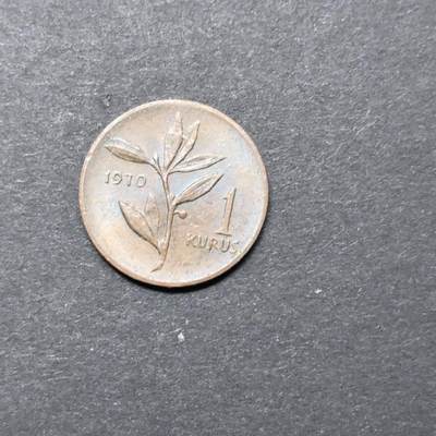 各国硬币第5期 无佣金 - 土耳其1库鲁