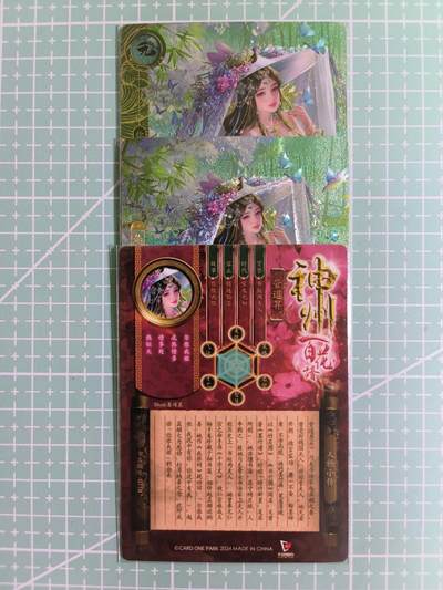 C先生卡牌 第14期 《神州百花谱》《Art系列》《人间传》持续收拍品中... - 【粗闪】卡玩帕克《神州百花谱》管道昇 双服饰+近景