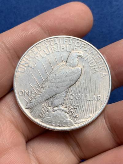 《竞宝斋》第429场 周日，周一，周二 3场连拍 （全场包邮） 美国1922年和平1美元银币