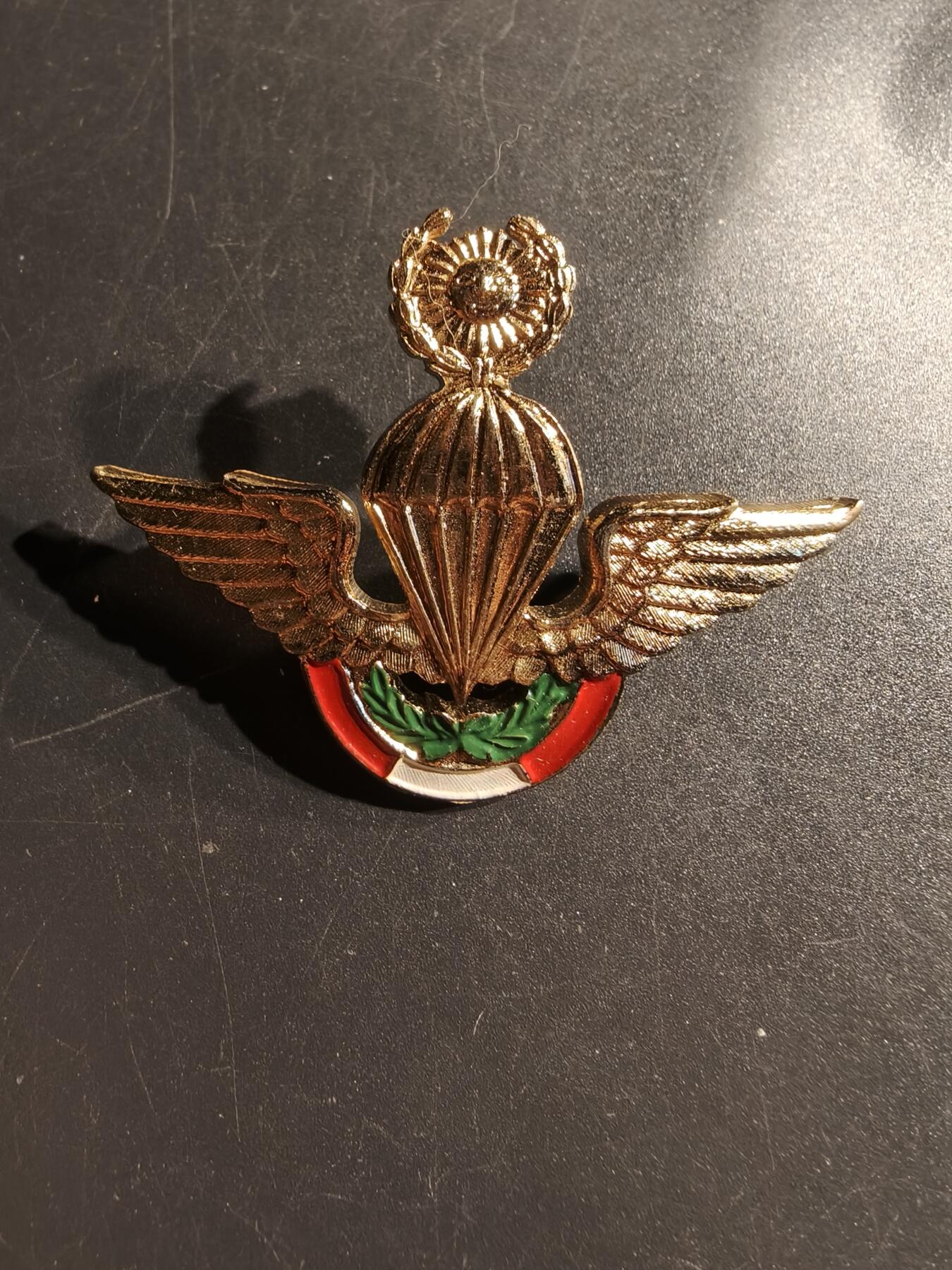 老王徽章第157期 秘鲁陆军空降兵高级技能章