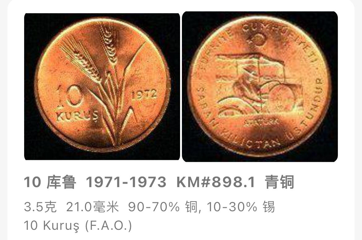 回流1019