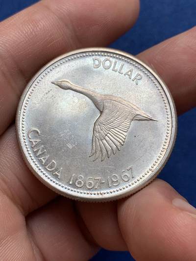 《竞宝斋》第429场 周日，周一，周二 3场连拍 （全场包邮） 加拿大1967年建国百年大雁1元银币