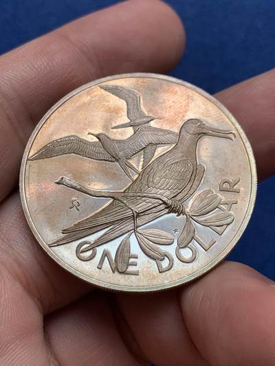 《竞宝斋》第429场 周日，周一，周二 3场连拍 （全场包邮） 英属维京群岛1973年军舰鸟1元银币