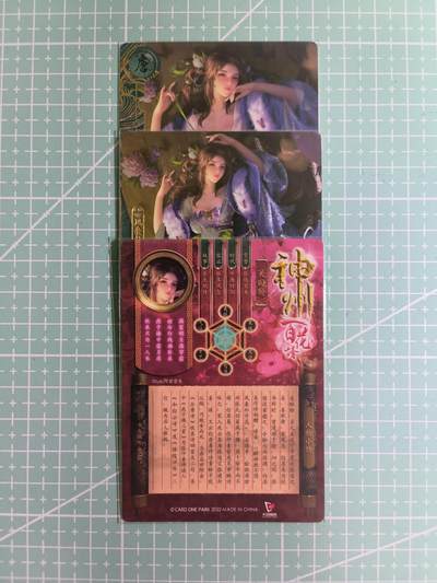C先生卡牌 第14期 《神州百花谱》《Art系列》《人间传》持续收拍品中... - 【粗闪】卡玩帕克《神州百花谱》关盼盼 双服饰+近景