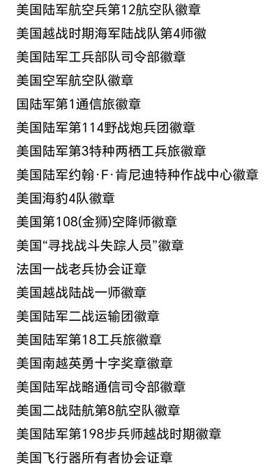 杂件 20枚美国，现役徽章，带盒子