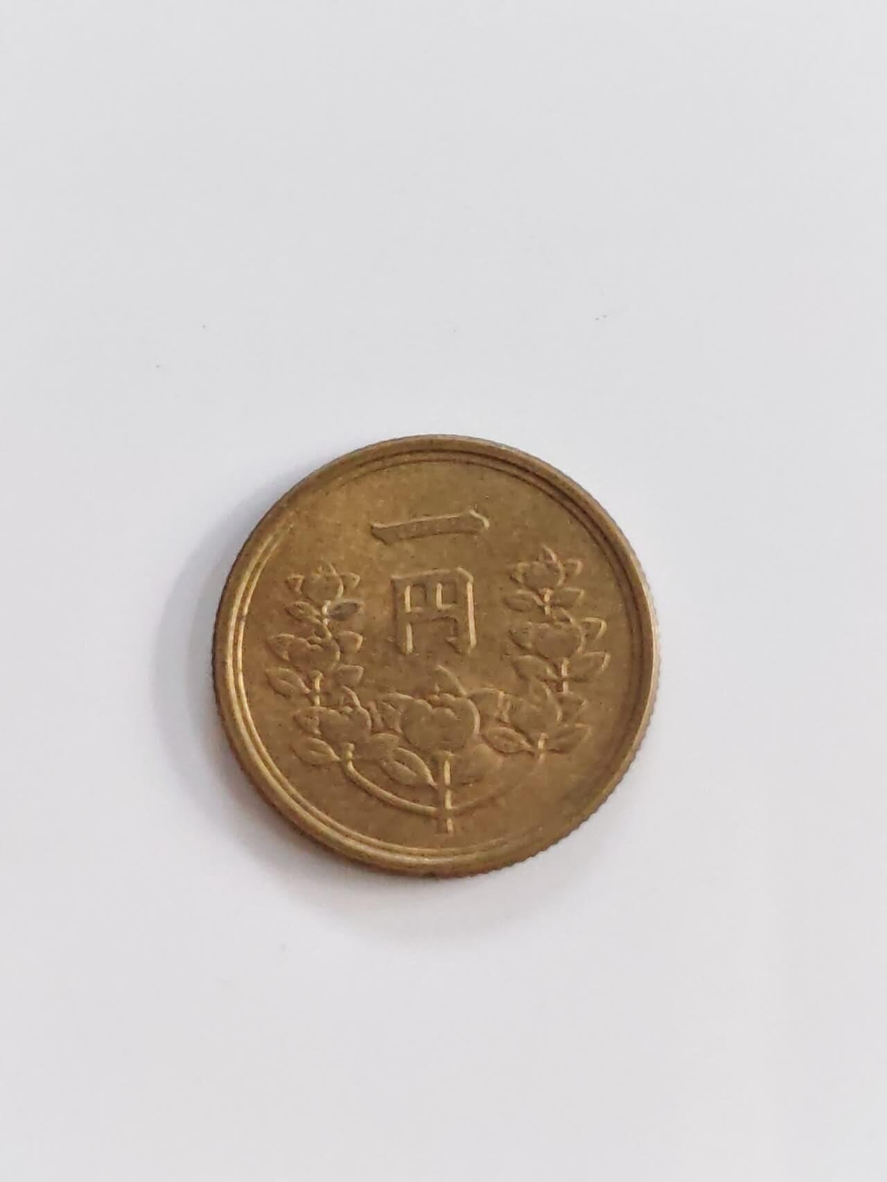 外国硬币处理 硬币