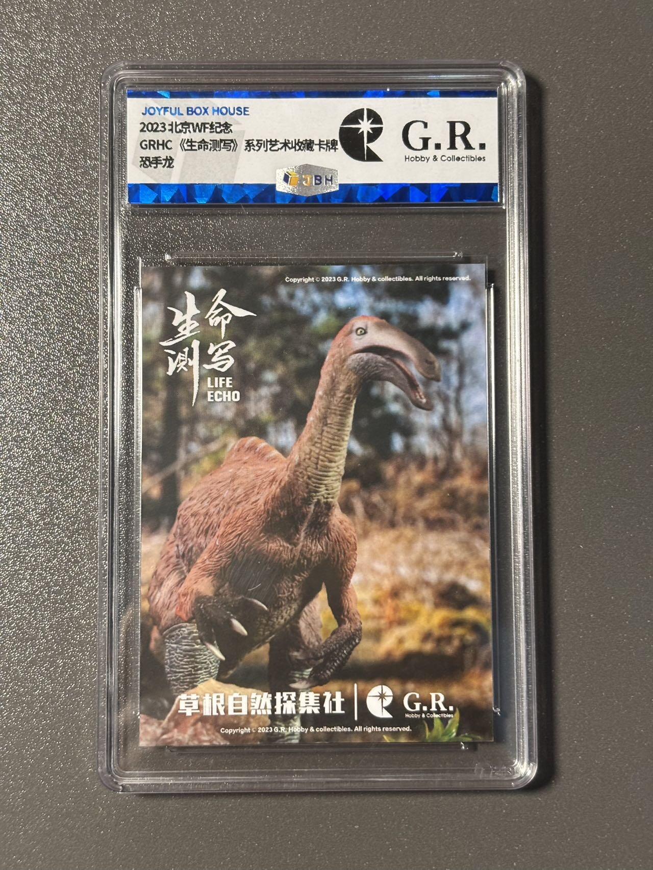 【喜人奇妙夜】小王子卡拍第十六场 JBH鉴真专属标 GR 北京WF纪念卡 恐手龙 