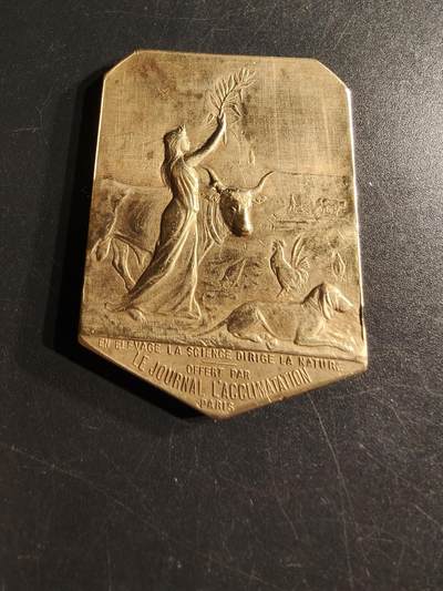 老王徽章第157期 - 法国巴黎《驯化报》异形镀金大铜章     尺寸36×51mm.   重量36.3g