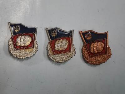 韵星假日拍卖第二十八期 -- Rimey Holidays Auction 28 - 民主德国自由德国青年团表彰良好知识证章一组