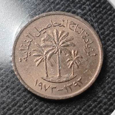 KK钱币收藏小铺  第356场  2月预留时间 周末发货 -  阿联酋1费尔铜币 纪念币 好品